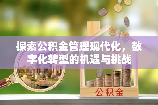 后壁探索公积金管理现代化，数字化转型的机遇与挑战
