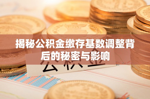 后壁揭秘公积金缴存基数调整背后的秘密与影响