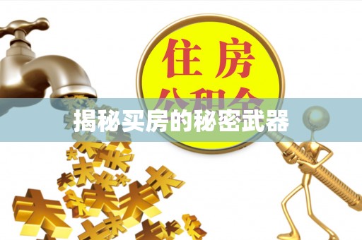 后壁揭秘买房的秘密武器