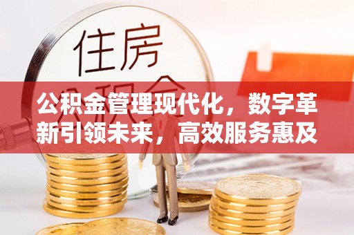 后壁公积金管理现代化，数字革新引领未来，高效服务惠及民生
