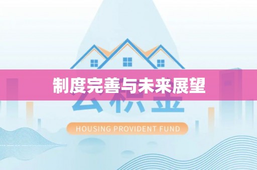 后壁制度完善与未来展望