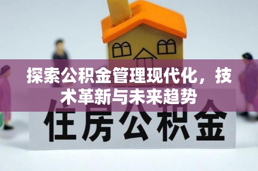 后壁探索公积金管理现代化，技术革新与未来趋势
