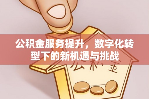 后壁公积金服务提升，数字化转型下的新机遇与挑战