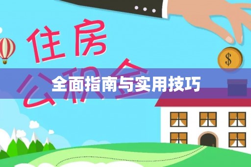 后壁全面指南与实用技巧