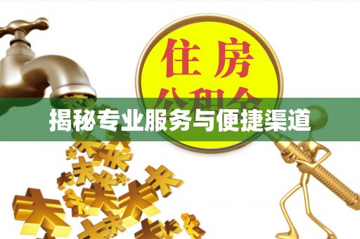 后壁揭秘专业服务与便捷渠道