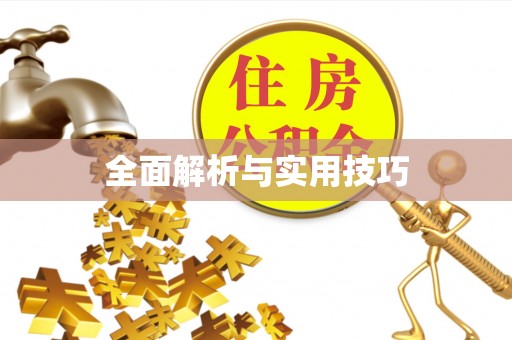 后壁全面解析与实用技巧
