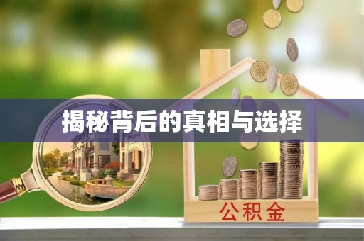 后壁揭秘背后的真相与选择