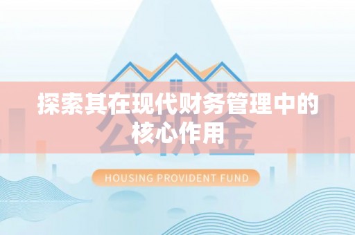 后壁探索其在现代财务管理中的核心作用