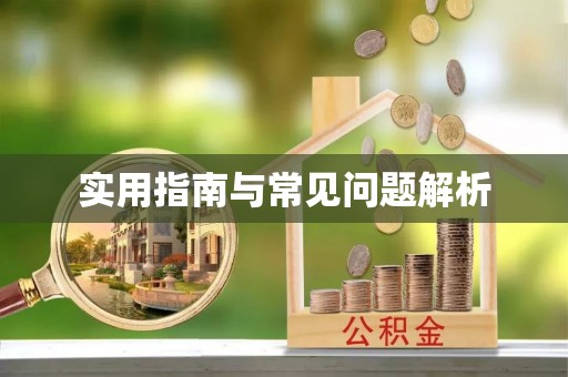 后壁实用指南与常见问题解析