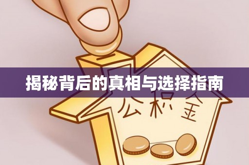 后壁揭秘背后的真相与选择指南