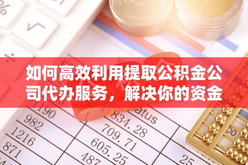 后壁如何高效利用提取公积金公司代办服务，解决你的资金难题