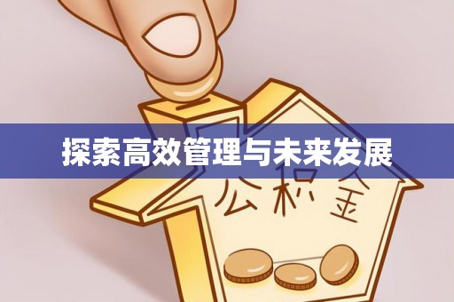 后壁探索高效管理与未来发展