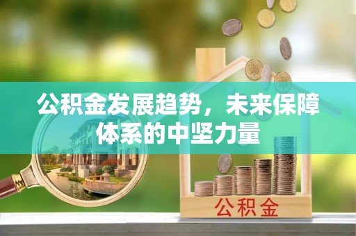 后壁公积金发展趋势，未来保障体系的中坚力量