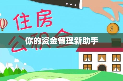 后壁你的资金管理新助手