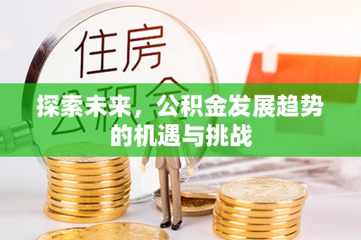 后壁探索未来，公积金发展趋势的机遇与挑战