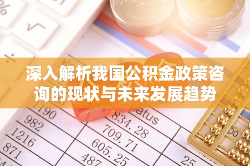 后壁深入解析我国公积金政策咨询的现状与未来发展趋势