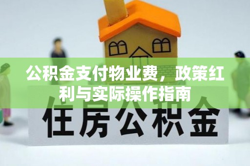 后壁公积金支付物业费，政策红利与实际操作指南