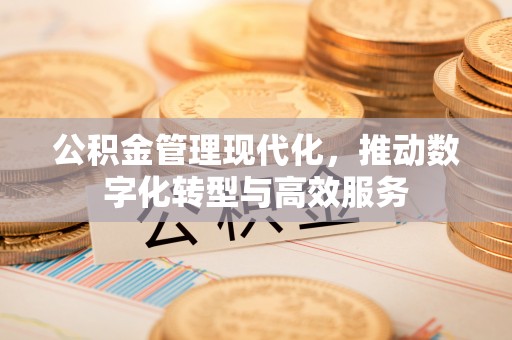 后壁公积金管理现代化，推动数字化转型与高效服务