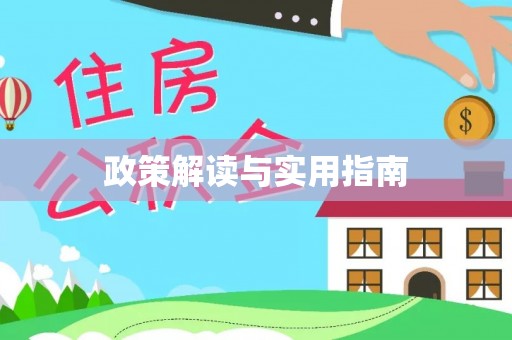 后壁政策解读与实用指南