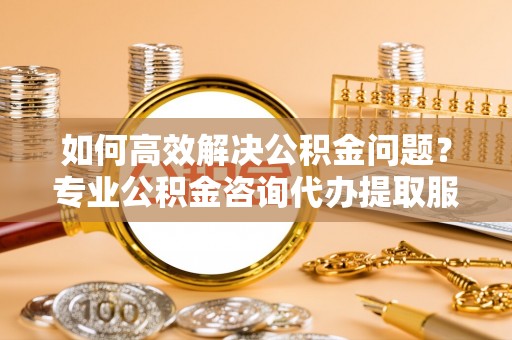 后壁如何高效解决公积金问题？专业公积金咨询代办提取服务来帮你