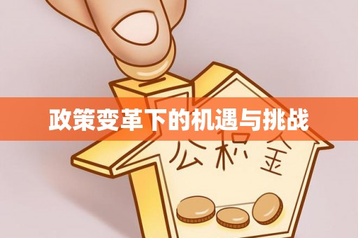 后壁政策变革下的机遇与挑战