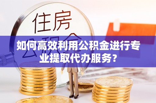 后壁如何高效利用公积金进行专业提取代办服务？