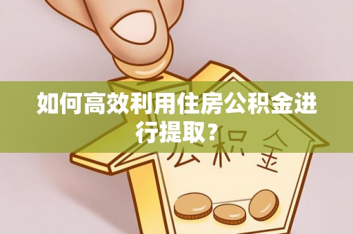 后壁如何高效利用住房公积金进行提取？