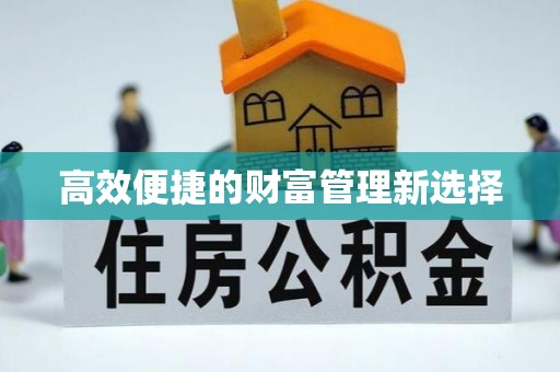 后壁高效便捷的财富管理新选择