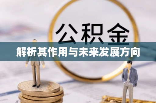 后壁解析其作用与未来发展方向