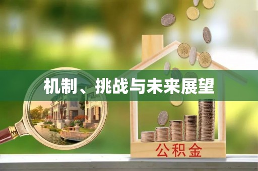 后壁机制、挑战与未来展望