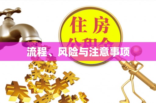 后壁流程、风险与注意事项