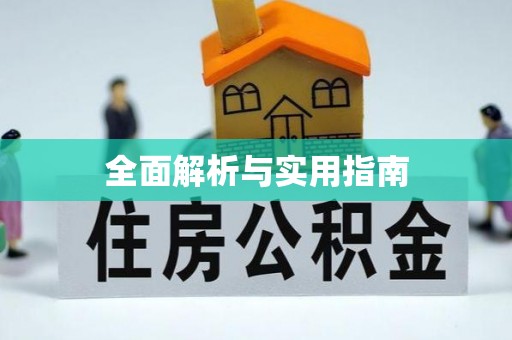 后壁全面解析与实用指南