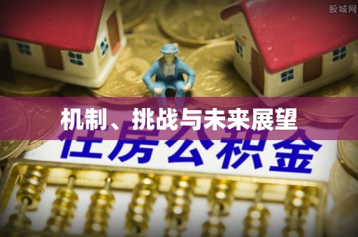 后壁机制、挑战与未来展望